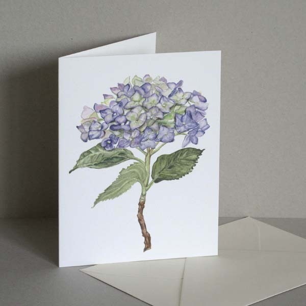 Hortensie blau Faltkarte mit Umschlag von tausendblatt