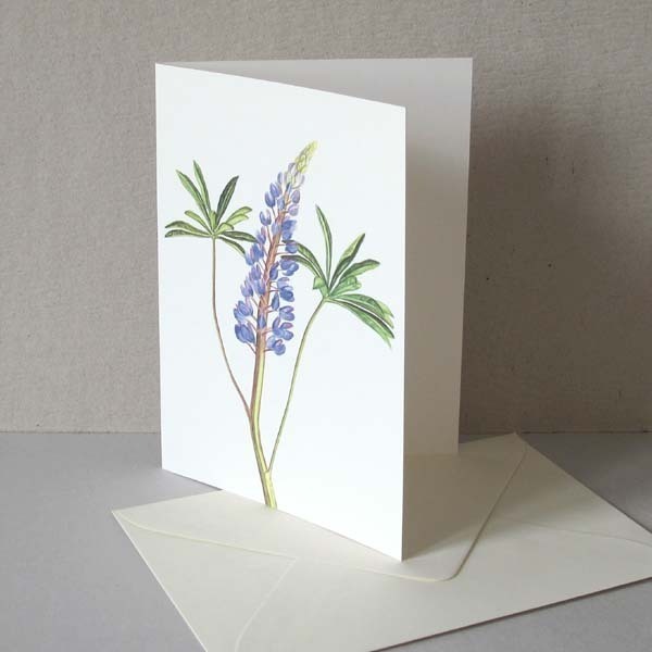 Lupine blau Faltkarte mit Umschlag von tausendblatt