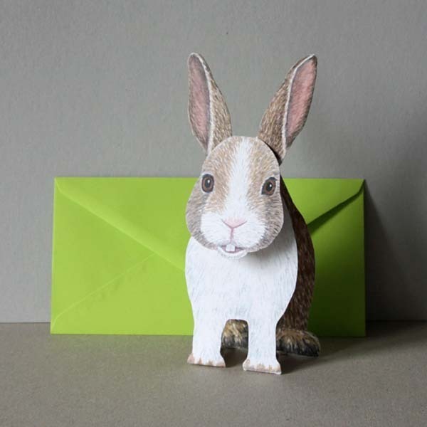 Kleiner Hase 3-D Tierfaltkarte von Gollnow Paper Creations