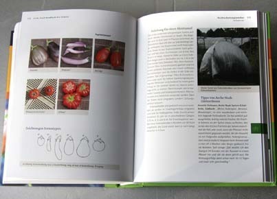 Handbuch Bio-Gemüse Gemüsegarten Arche Noah Sortenvielfalt