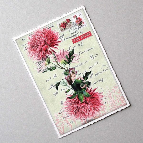 Postkarte Blumenelfe Sommeraster hellrot von ACTEtre