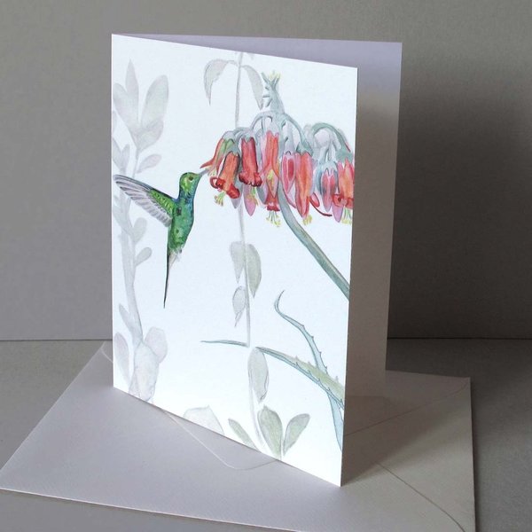 Kolibri Faltkarte mit Umschlag von tausendblatt